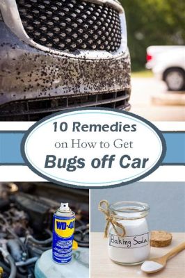 how to get bugs off car home remedy: the importance of understanding bug behavior for effective prevention